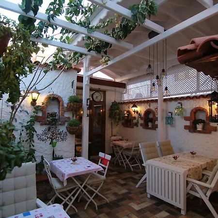 Teos Butik Homestay Sigacik