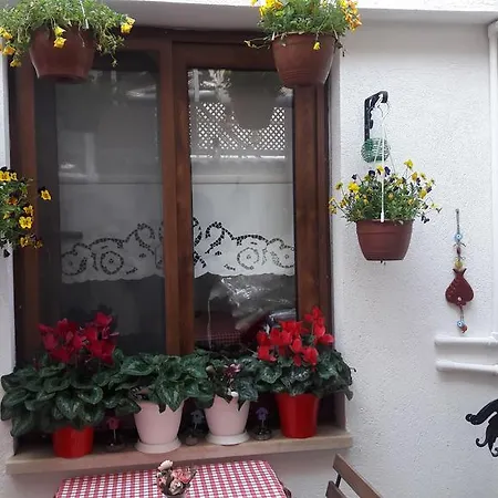 Homestay Teos Butik