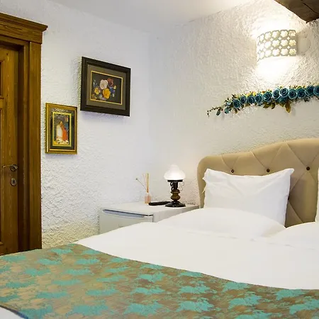 Teos Butik Homestay
