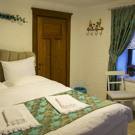 Teos Butik Homestay *