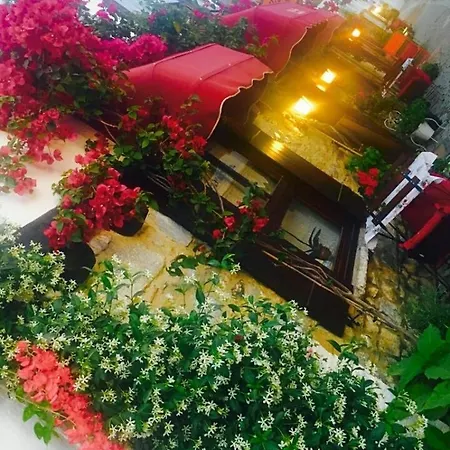 Homestay Teos Butik Sigacik