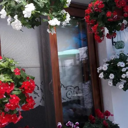 Teos Butik Sigacik